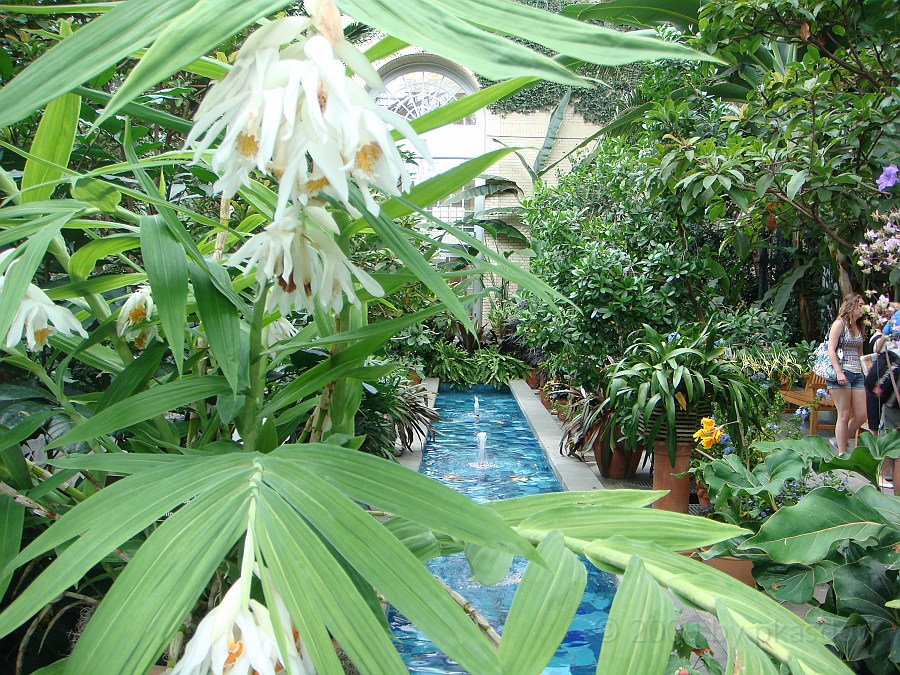 Washington DC [2009 July 04] 082.JPG - Scenes from The United States Botanic Garden